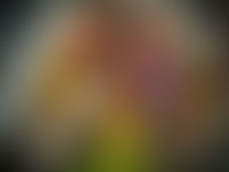 “TIERRA FIRME”, LA OBRA TEATRAL QUE LE DA VOZ A LAS NIÑAS Y NIÑOS ANTE SITUACIONES DE RIESGO