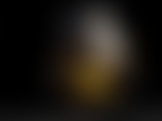 中国嫦娥五号探测器着陆月球