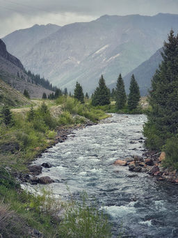 IMG_9867.jpeg