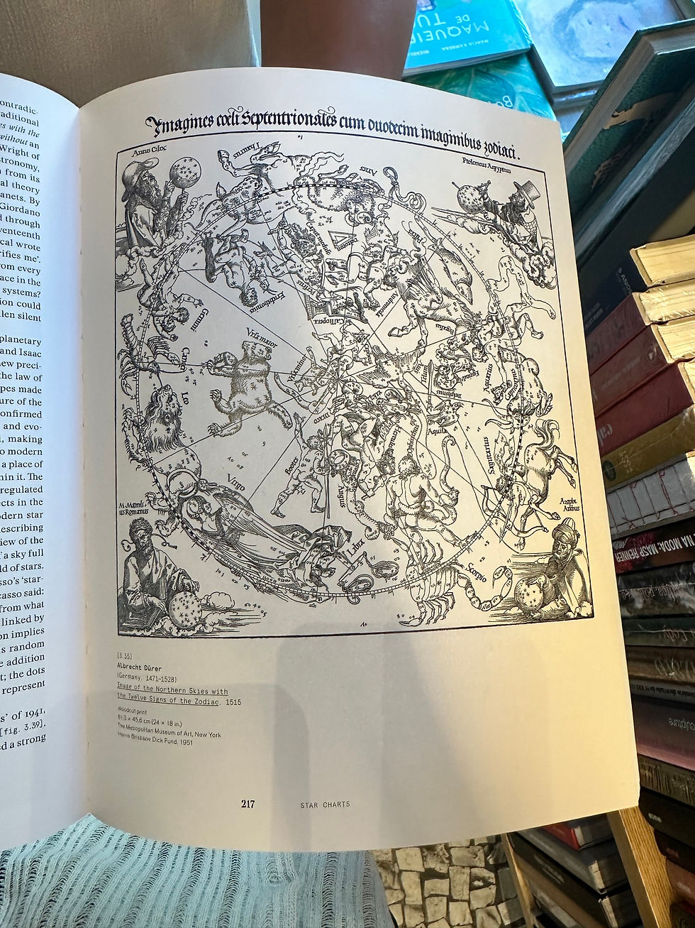 REFERÊNCIAS PESQUISA