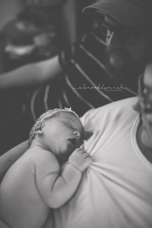The Fourth Trimester