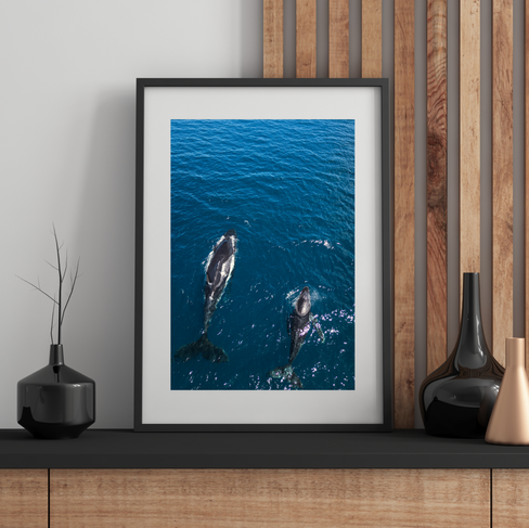 decoration-chambre-enfant-ambiance-reveuse-photo-baleine-encadree