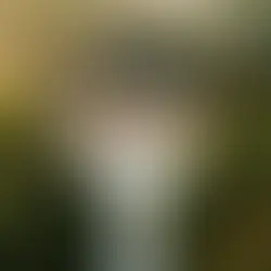 prestation photo drone des mariées arrivant en voiture devant le chateau