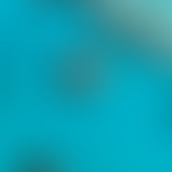 heart-great-barrier-reef