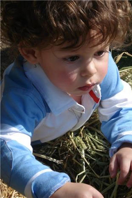 GIANLUCA
