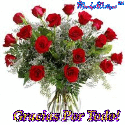 MendysDesigns Felicidades.gif