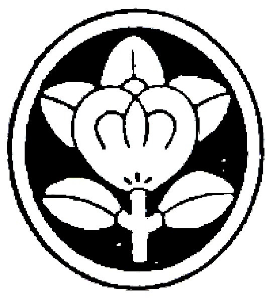 www.n-sarashina.com