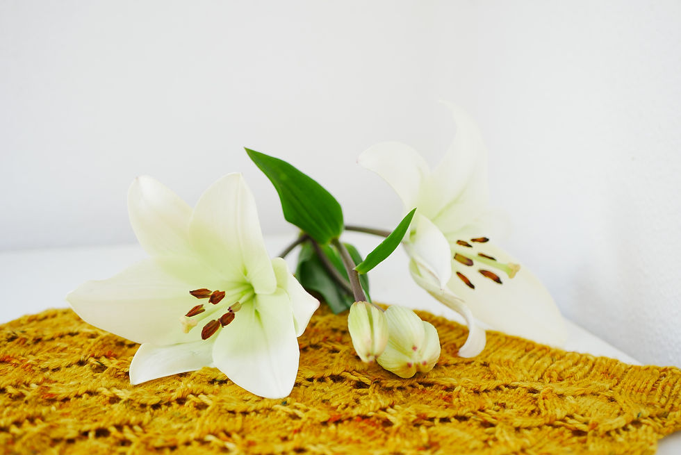 Miniatura: Cuello Justina