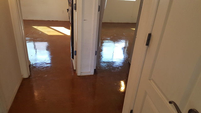 Floor after