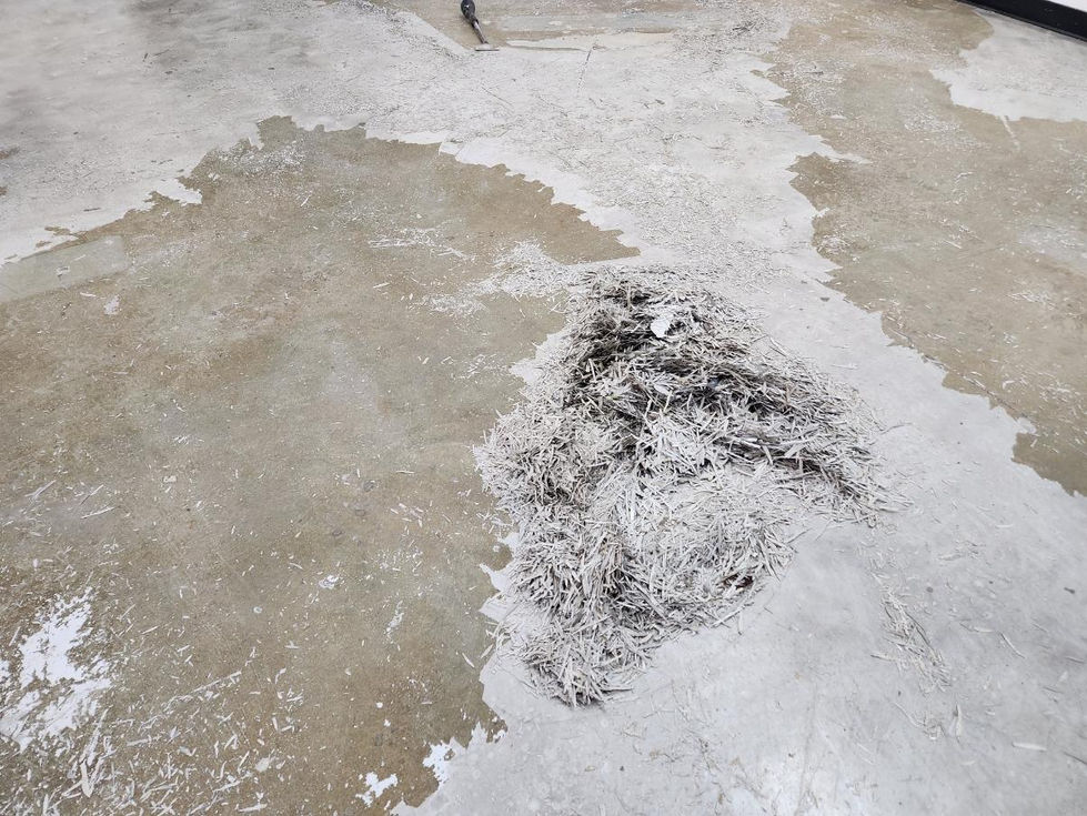 Doesn't matter if the floor needs repairs. Will take care of that.