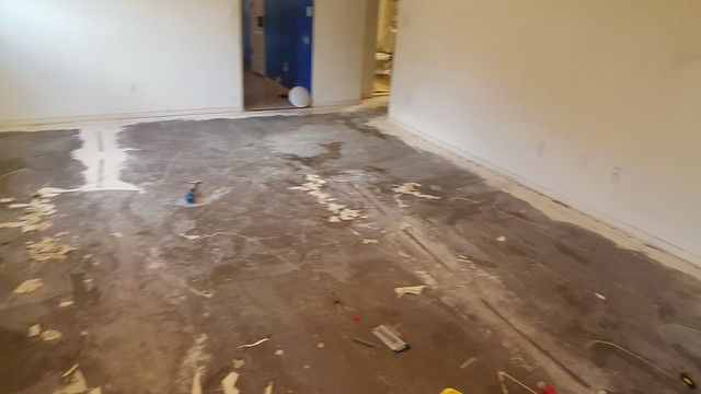 Room before
