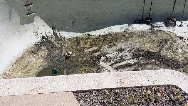 Pool disaster