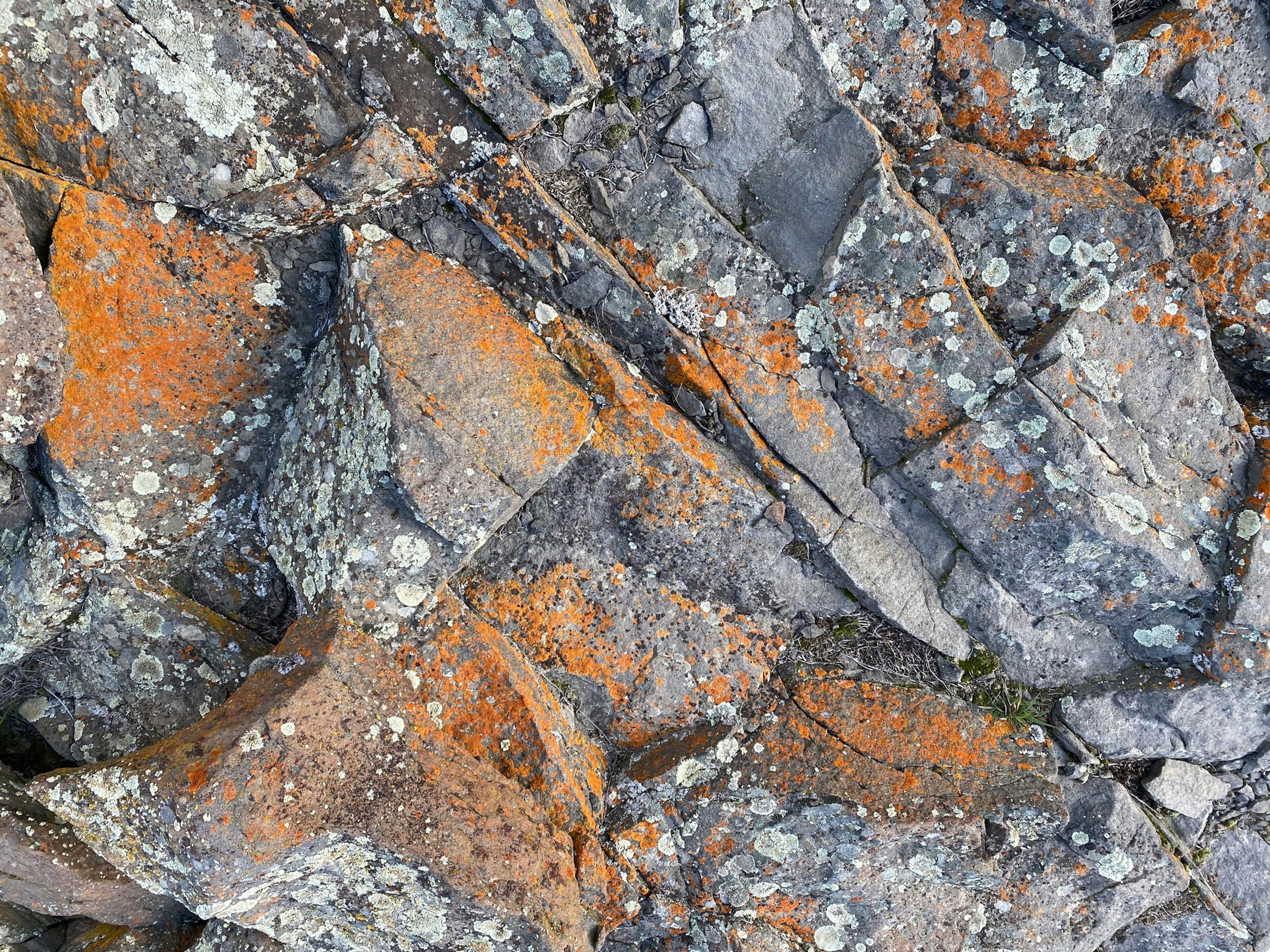 Enhanced Rock Weathering (ERW)