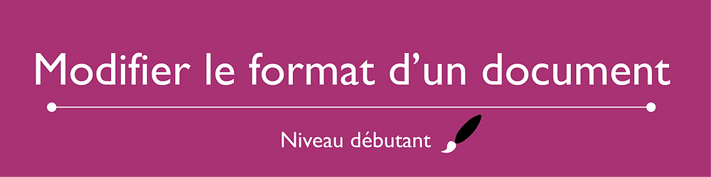 COMMENT MODIFIER LE FORMAT D UN DOCUMENT PDF visual data 8