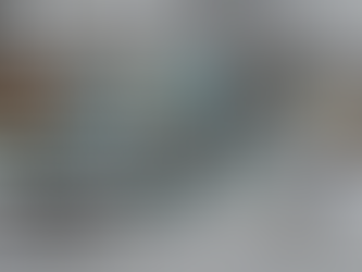 cow dung paint plant machinery