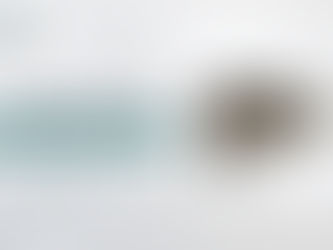 Choosing the Right Lab Ribbon Blender for Precise Powder Blending