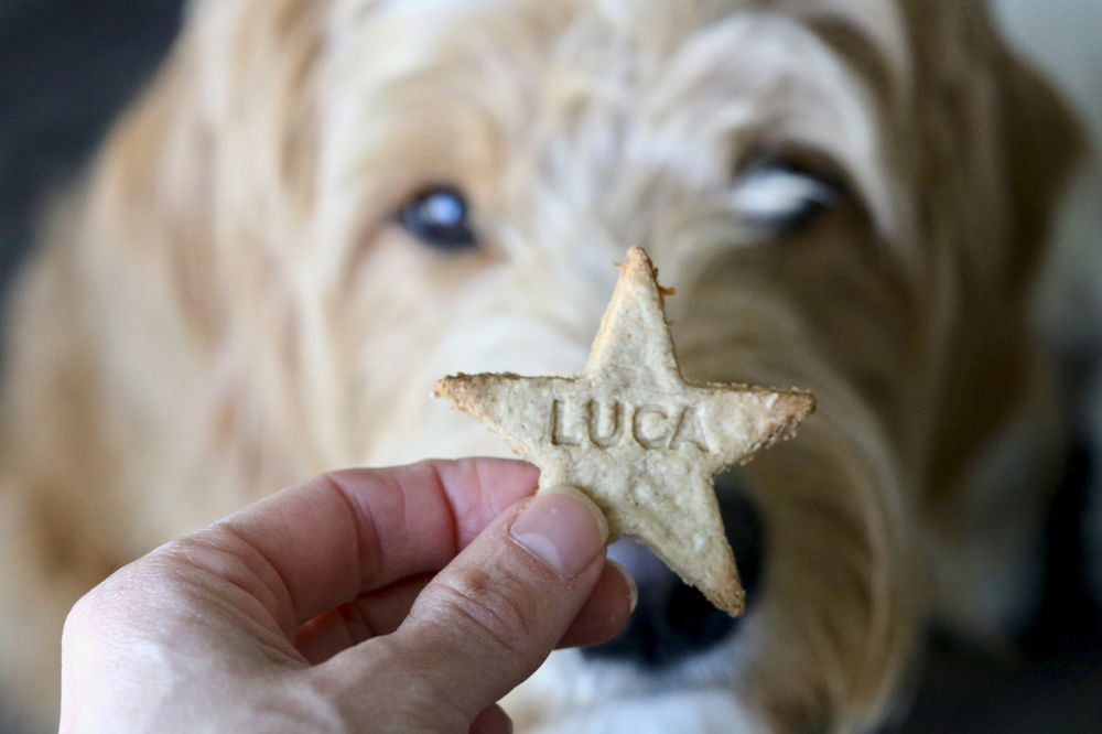 SWEET LIKE HOMEMADE APPLE PIE DOG TREATS