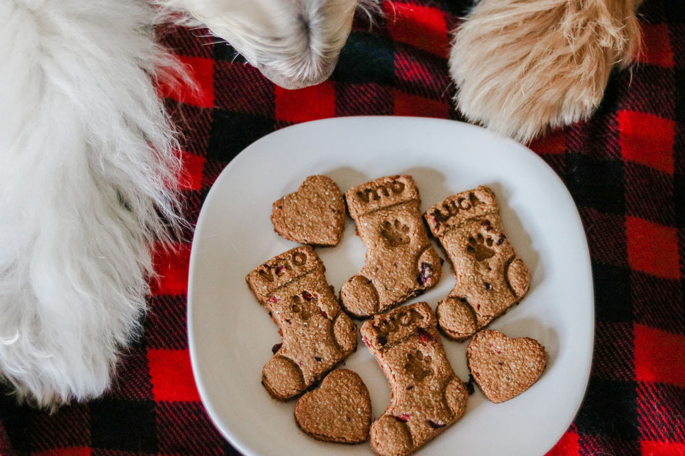 CRANBERRY DOG TREATS