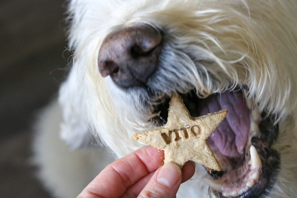 SWEET LIKE HOMEMADE APPLE PIE DOG TREATS