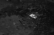 Chloe Webster -FINALIST-UK Young Photographer - The Road Best Travelled