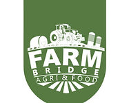 Farm Bridge.jpg