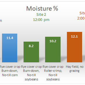 Cover Crops with No-till and Grazing Are Helping Crops Weather the Drought