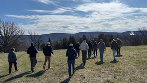 Treading Lightly, Growing Soil: Stewarding Land at Vernon Valley Farm 