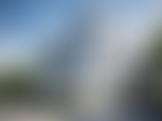 ליווי פרויקטים גמר/ארגוני