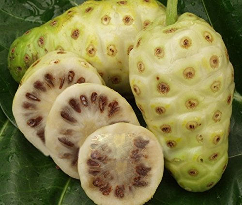 Noni