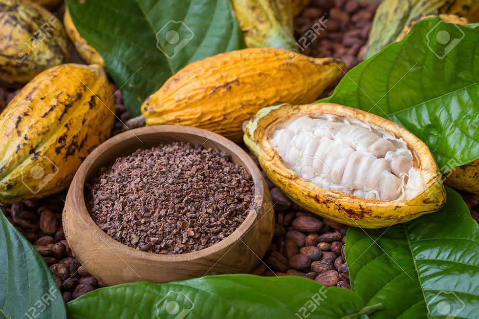 Cocoa