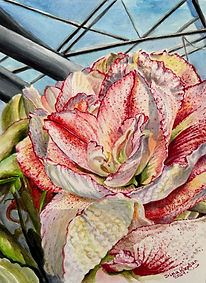 Irina Kaplan | A Keukenhof memory | Watercolor | UNITED STATES OF AMERICA