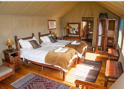 Jungle Safari tent