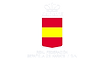 Escudo RFEK.png