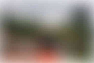 Vjenčanja Divlje Vode, okupljanje gostiju