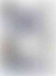 Mladenci i kumovi na Gornjem gradu u Zagrebu