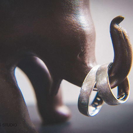 Ketrin i Hrvoje | Ekopark Krašograd