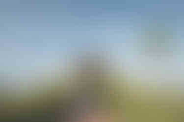 Fotografija mladenaca na foto sessionu u Krašogradu