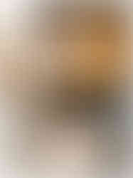 Mladenka u bijeloj vjenčanici u igri s malim psom svijetle boje s ružičastom mašnom