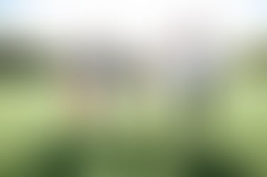 파마넥스