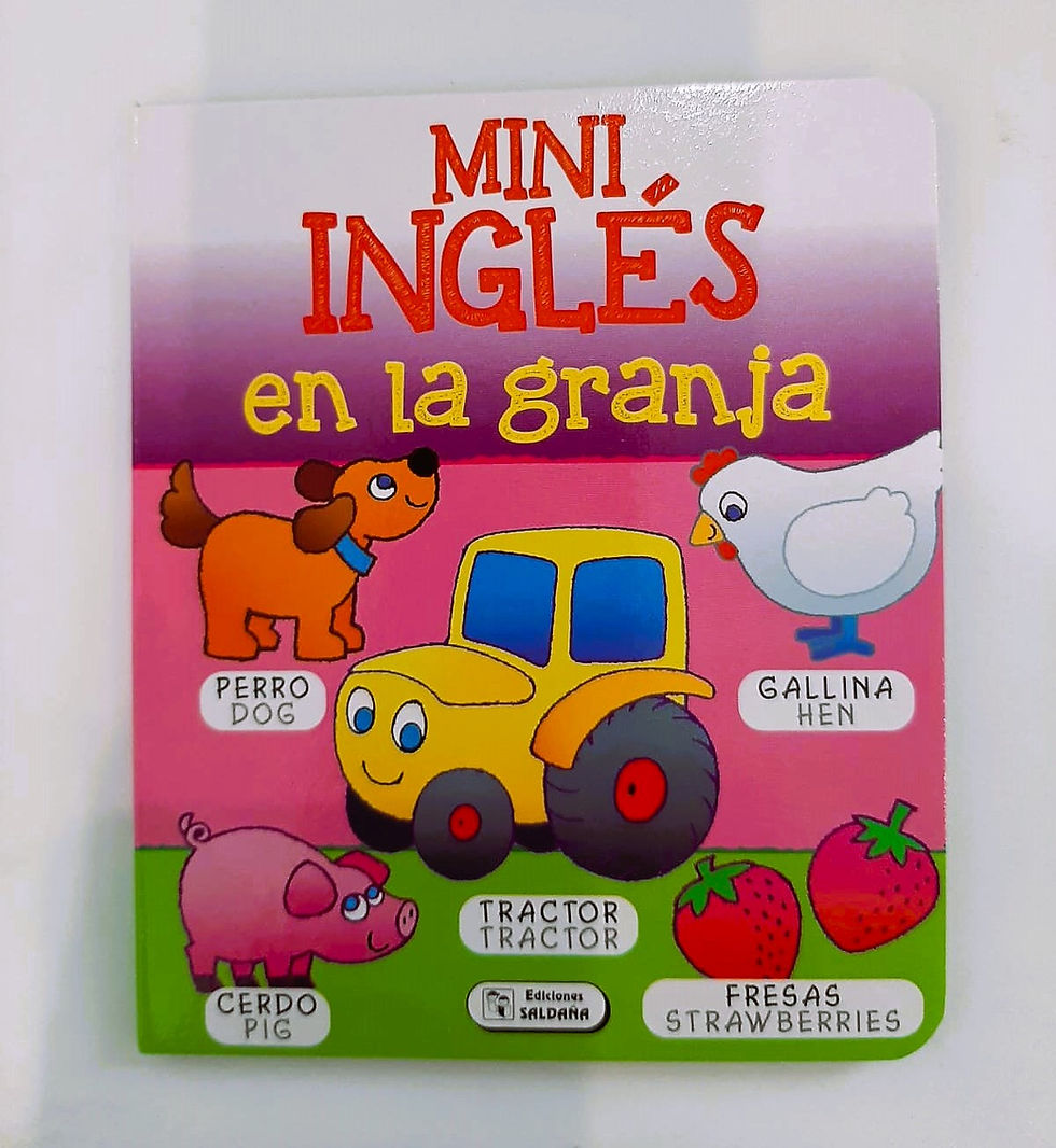 Miniatura: Set de Libros Mini Inglés