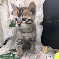 Ann 1.16.2023d