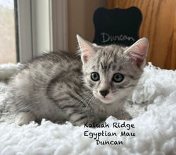 Duncan 3.18.2026a