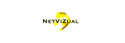 NetVizual.com/social-media Best SEO
