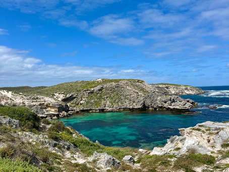 Rottnest Island Day Trip Guide: Everything You Need to Know (and What We Got Wrong!)