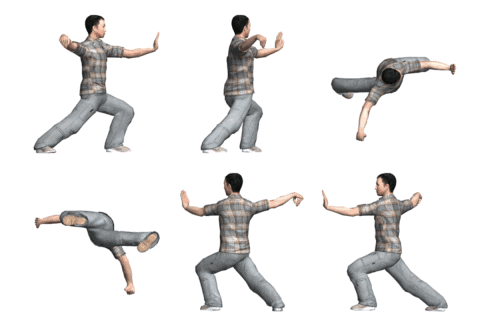 (11) Simple fouet (Dan Bian).GIF