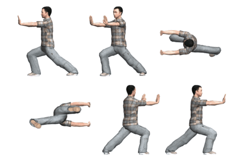(9) Simple Fouet (Dan Bian).GIF