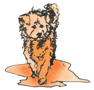 ПРИКЛЮЧЕНИЯ  БУБЛИКА