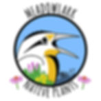 MeadowLark