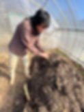 IMG_0119.jpeg