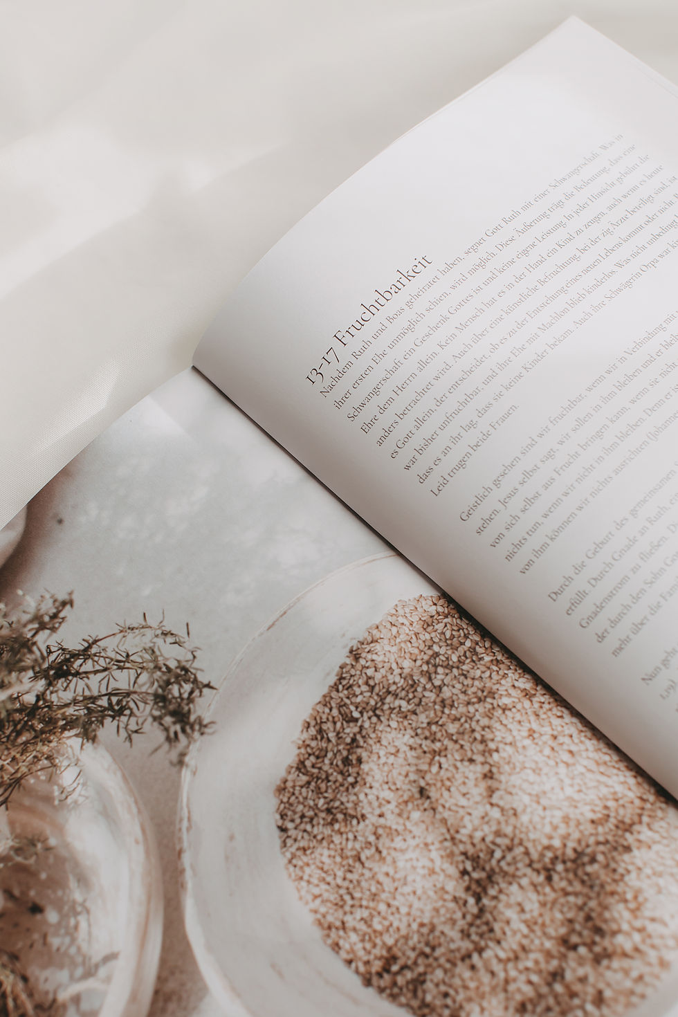 Miniaturbild: Inspirierendes Studienbuch zu Ruth – geschrieben für Zeiten der Herausforderung und Hoffnung